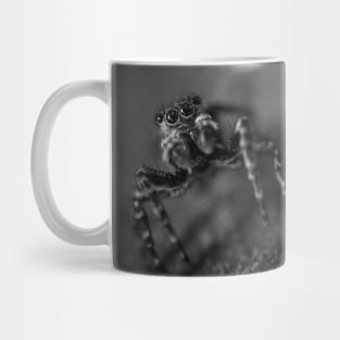 Scurry, Macro Jumping Spider Black and White Photo Mug